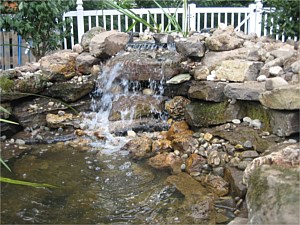 Waterfall/Pond