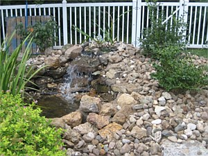 Waterfall/Pond