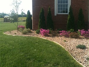 Landscaping Project